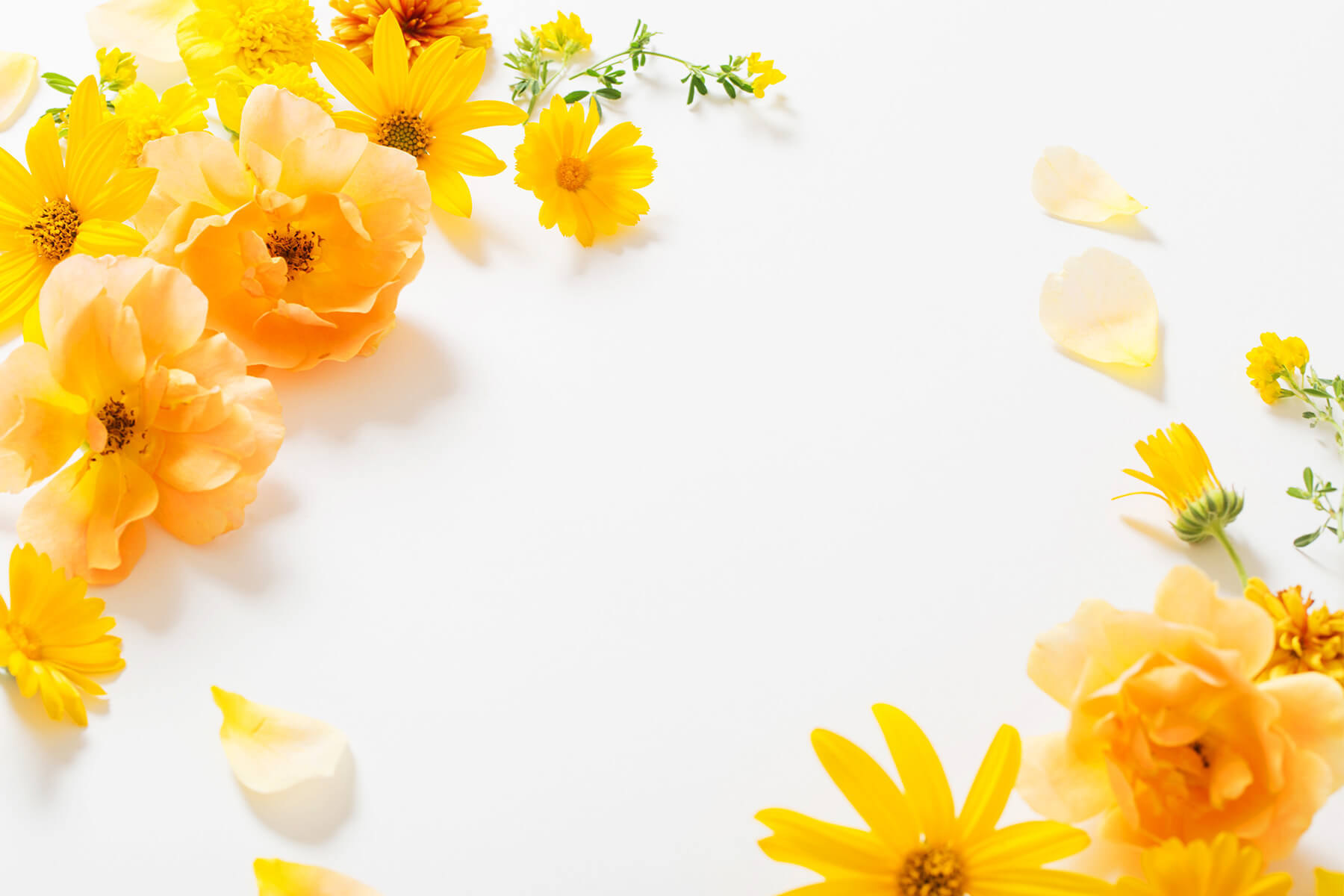 メインイメージ1